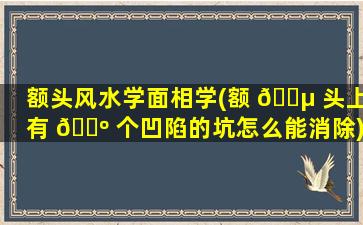 额头风水学面相学(额 🐵 头上有 🌺 个凹陷的坑怎么能消除)